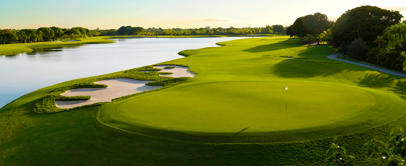 Trump National Doral (The Golden Palm)